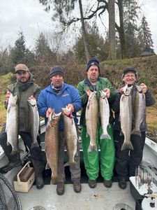 Cowlitz River Winter Steelhead