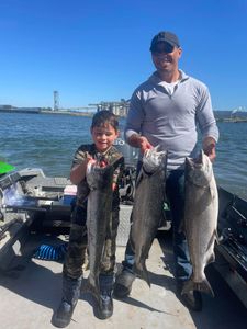 3 Chinook Salmon, biggest measuring 31 inches, caught while fishing in Toledo