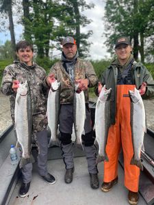 5 coho salmon caught while fishing in WA