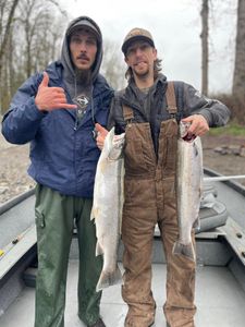 Two coho salmon fishing in WA