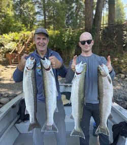 Four coho salmon caught while fishing in Toledo