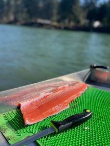 Fishing trip in Toledo