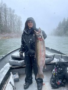Photograph of a single pink salmon caught while fishing in Toledo