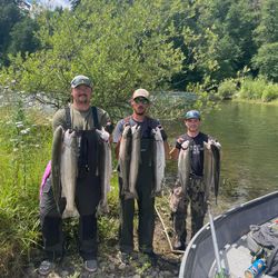Five rainbow trout caught fishing in Toledo
