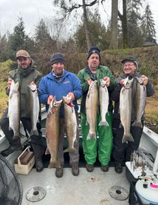 7 coho salmon and rainbow trout caught fishing in Toledo