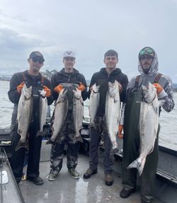 Eight rainbow trout and chinook salmon caught by four people fishing in Toledo