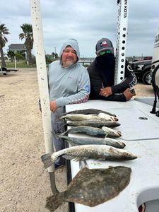 Three summer flounder and spotted weakfish caught fishing in Rockport