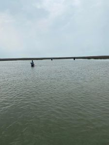 Fishing in TX