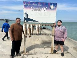 3 redfish caught in Rockport