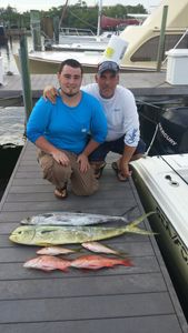 Palm Beach reels and big deals