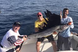Photograph of a majestic Atlantic Sailfish caught during fishing in West Palm Beach