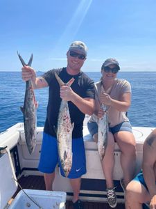 3 great barracuda fish caught while fishing in West Palm Beach