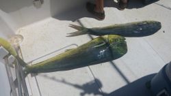 Two anglers fishing in FL