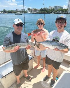 3 little tunny and great barracuda fish being caught in FL