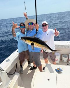 Blackfin tuna caught while fishing in West Palm Beach