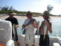 4 bluefish caught fishing in FL
