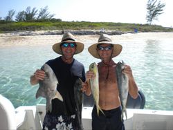 Three bluefish and atlantic mackerel, 18 inches long, caught while fishing in West Palm Beach