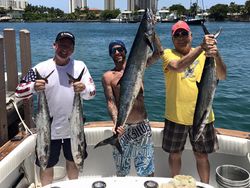4 king mackerel, a big catch fishing in West Palm Beach