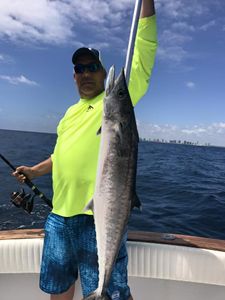 Caught a king mackerel fishing in West Palm Beach