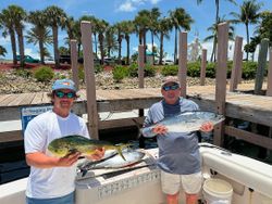 Two Mahi Mahi fish caught while fishing in FL