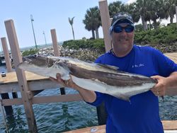 Fisherman with 1 big fish in FL