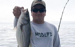 Striped bass caught while fishing in VA