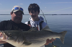 Striped bass caught in VA