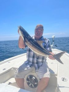 Cobia, a coastal fish, caught during a fishing trip in North Carolina