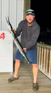 A single Atlantic Needlefish measuring 28 inches, caught while fishing in FL.