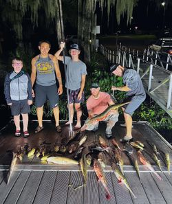 Longnose gar, a 24-inch freshwater fish, caught while fishing at Lake City