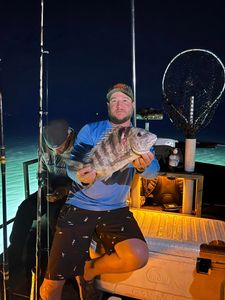 Sheepshead fish caught during fishing trip at Lake City