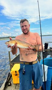 Redfish, 18 inches, caught in FL