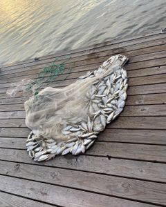 A scenic view of the Gulf Shores coastline