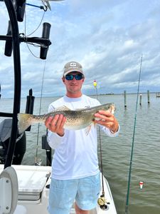 Spotted Weakfish caught while fishing in Gulf Shores