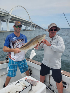 Two anglers with a single fishing catch in Pensacola