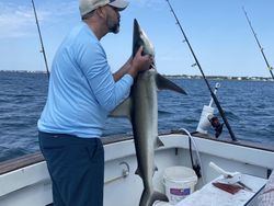 Blacktip shark, 39 inches, caught while fishing in Pensacola