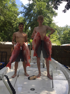 4 huge red grouper caught in Pensacola