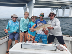 Redfish catch in Florida