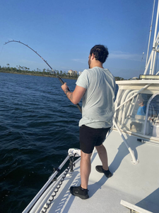Scenic view of Florida coastline