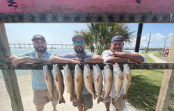 Chase Dreams with Port Aransas, TX Fishing