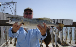 7 fish caught while fishing in Port Aransas