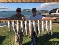 Eleven Spotted Weakfish and Redfish caught in Port Aransas