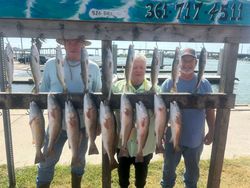 16 redfish, spotted weakfish, and rainbow trout caught in TX