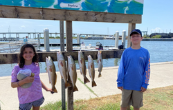 6 fishing rods with a scenic coastal backdrop in Port Aransas