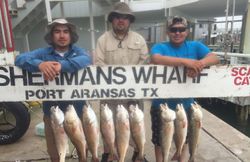 3 people fishing with 9 fish caught in TX