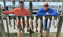 12 redfish caught while fishing in TX