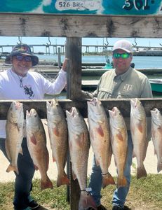 6 redfish caught in TX
