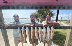 9 redfish caught in Port Aransas