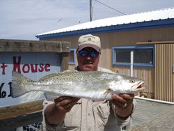 Spotted weakfish fishing in TX