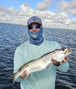 Spotted Weakfish caught while fishing in Port Aransas